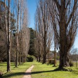 Botanic Gardens Malmsbury - 2