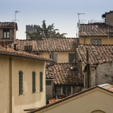 Lucca