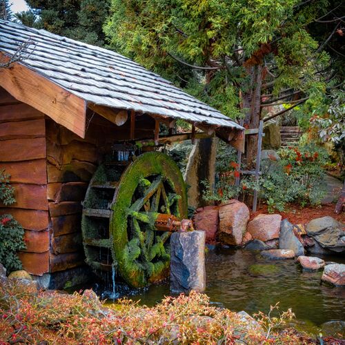 Japanese Garden - Hobart Royal Botanical Gardens