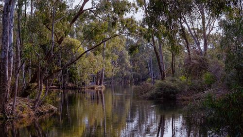 Kennington Reservoir Bendigo Australia