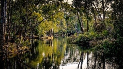 Kennington Bendigo Australia