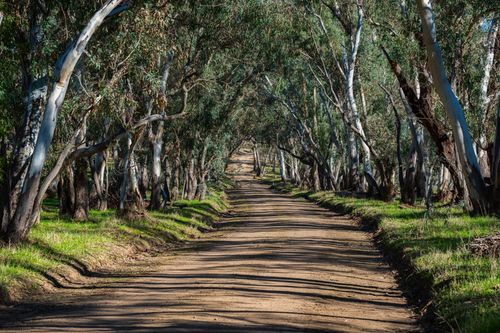 Genders Lane Belvoir Park Bendigo