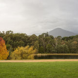 Healesville