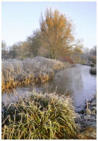 River Itchen and watermeadows