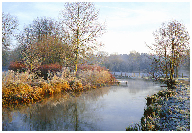 River Itchen, frosty morning