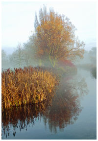River Itchen, winter mist