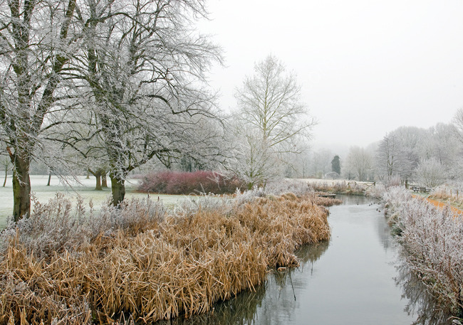 Hoar frost