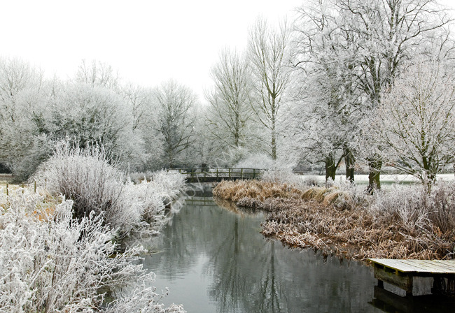 Hoar frost