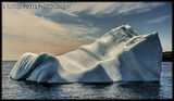 Witless Bay Iceberg, Newfoundland, Canada