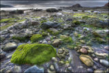 Bay of Fundy, NB, Canada