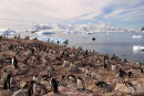 Penguins, Zodiac, ship