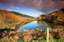 Cannock Chase cc1760