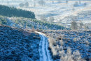 Cannock Chase cc2031