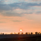 Cannock Chase cc6525