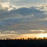 Cannock Chase cc7211