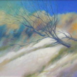 North Wind