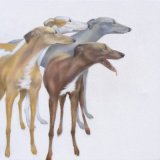 Love, Loyalty, Hope & Faith