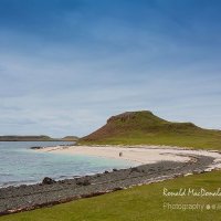 The Coral Beach