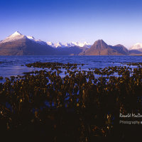 Elgol Sea, Skye