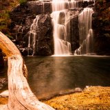 Broken Bough, MacKenzie Falls