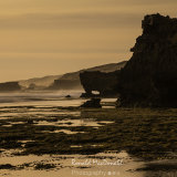 North from St Paul's Beach (2), Mornington Peninsula