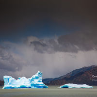 Grey Lake Iceberg Chile