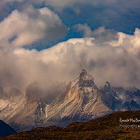 Torres del Paine Mastif