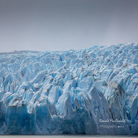Front Edge of Glacier Grey Chile