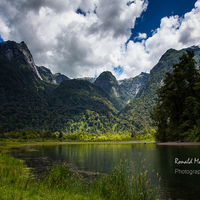 Vincent Perez Rosales National Park Chile