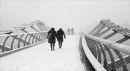 Journey Home 3