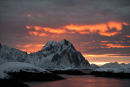 Firelight