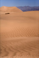 Mesquite Dunes 2