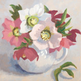 Pink Hellebores in a White Jug