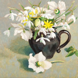 Snowdrops, Hellebores and a Celandine