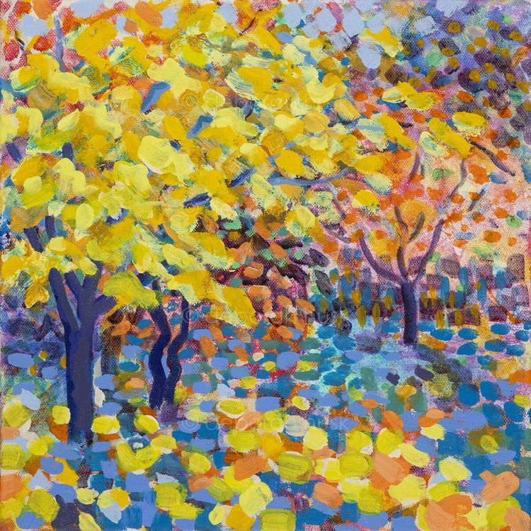 Yellow Maple SOLD