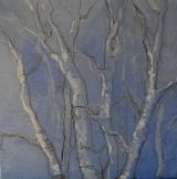 Silver birch in winter