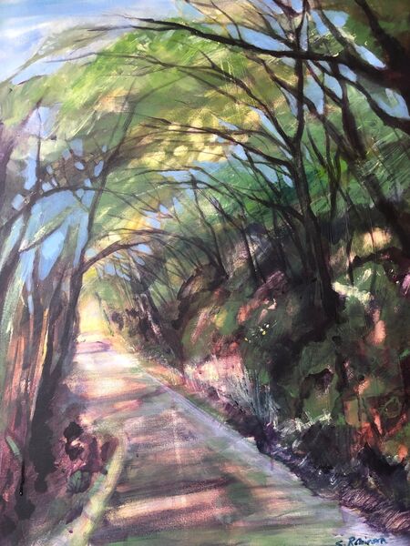 Contemplative canopy, Annaghmakerriig, Co Monaghan