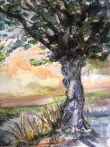 Olive tree sketch at Finca Bonita Finca Bonita. Alora