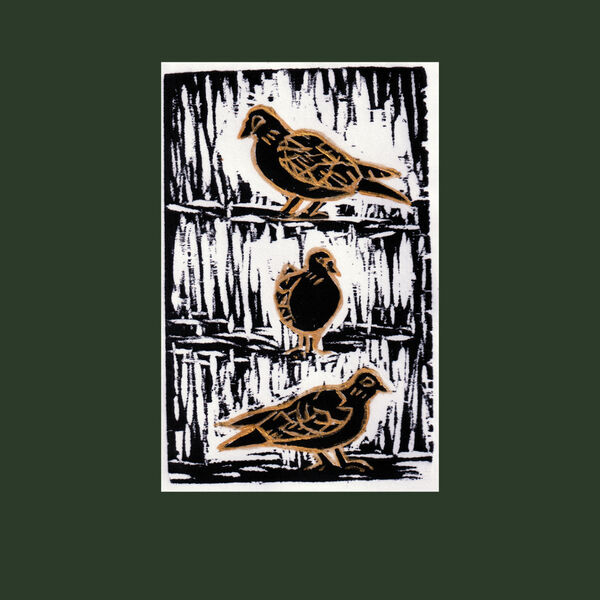 Four Calling Birds - woodcut print of 3 turtle doves, green back ground.