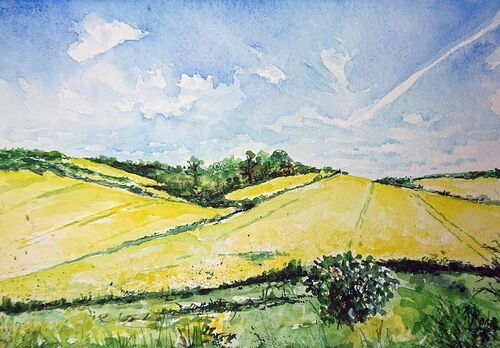 summer feilds, yellow crops and blue skies.