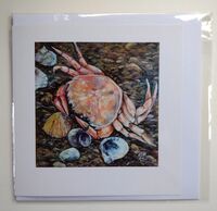 Little Crab card greetings card in cellophane wrapper