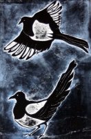 Magpies: Three For A girl, Four For A Boy