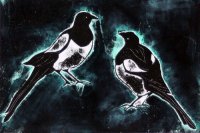 Magpies: Seven For A Secret Never To Be Told, Eight For A Kiss
