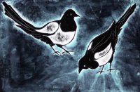 Magpies: NIne for wish, Ten For A Bird That Shouldnt Be Missed