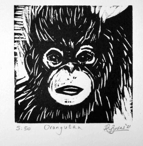 Orangutan