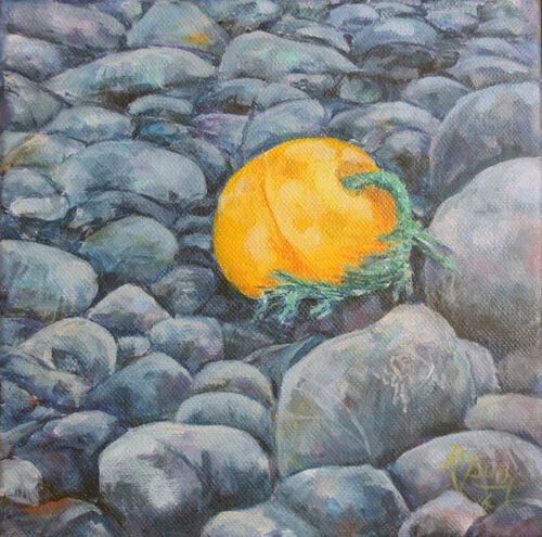 yellow mooring bouy, grey pubble beach