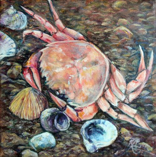 pink crab, on the beach, shells and sand