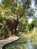 Akkaya restaurant
