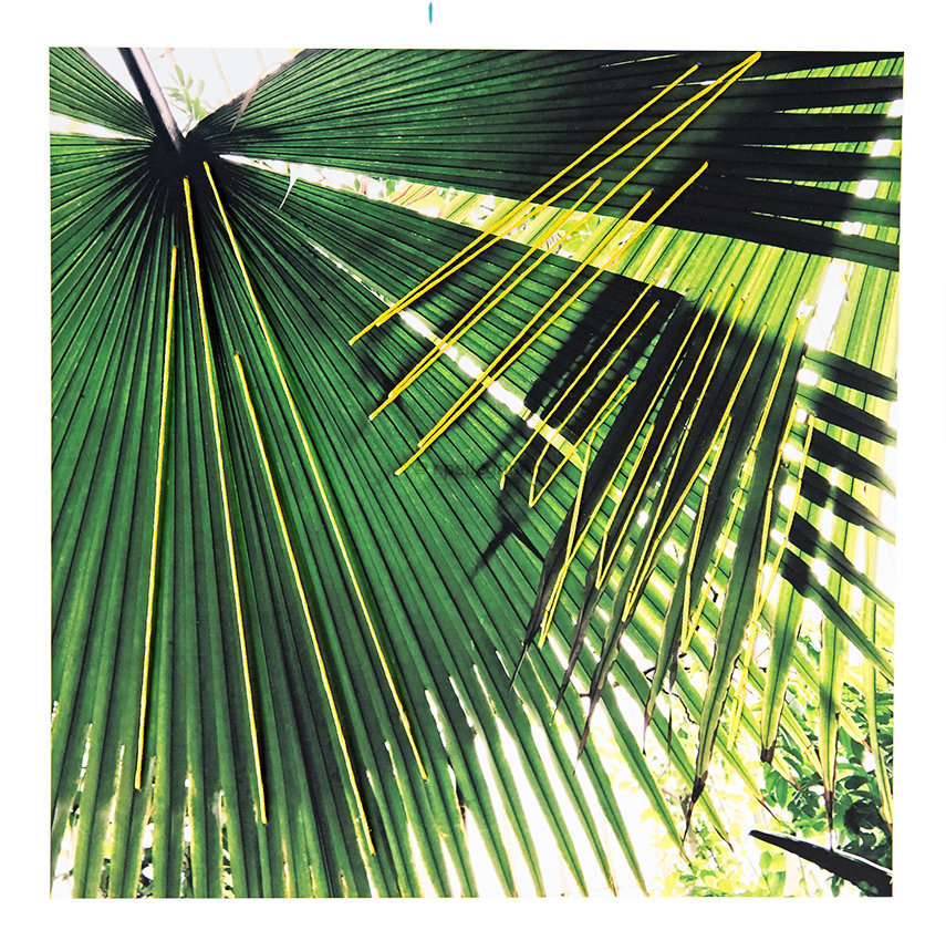 It's a jungle out there