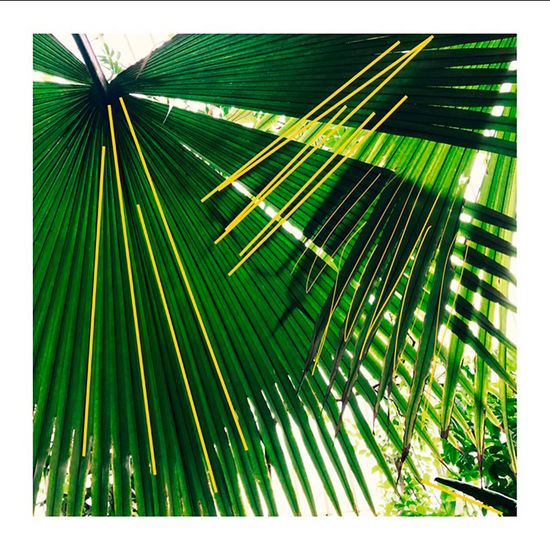 It's a jungle out there